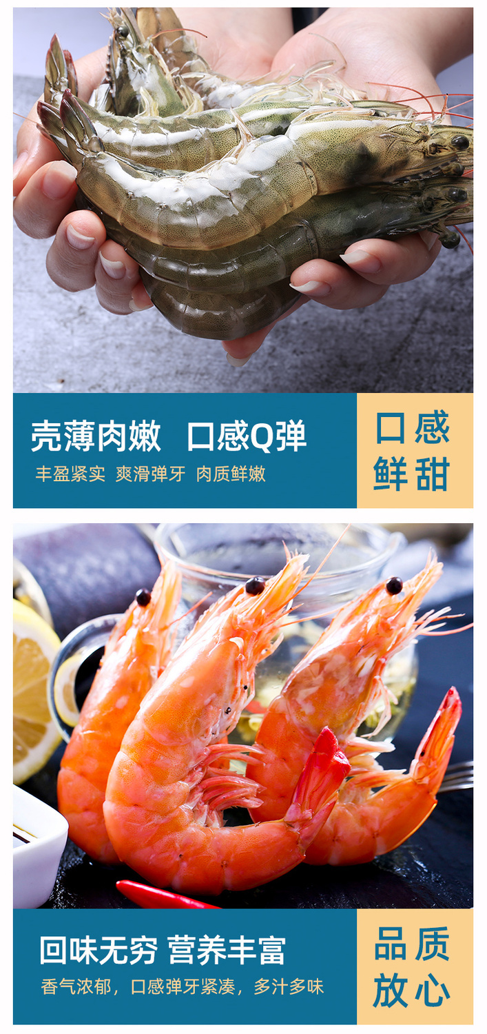 青岛大虾超大海虾鲜活冷冻白虾对虾大虾新鲜海捕大虾海鲜纯虾4斤装
