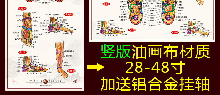 人体穴位图大挂图足底按摩穴位图足部反射区大挂图人体穴位图足部经络