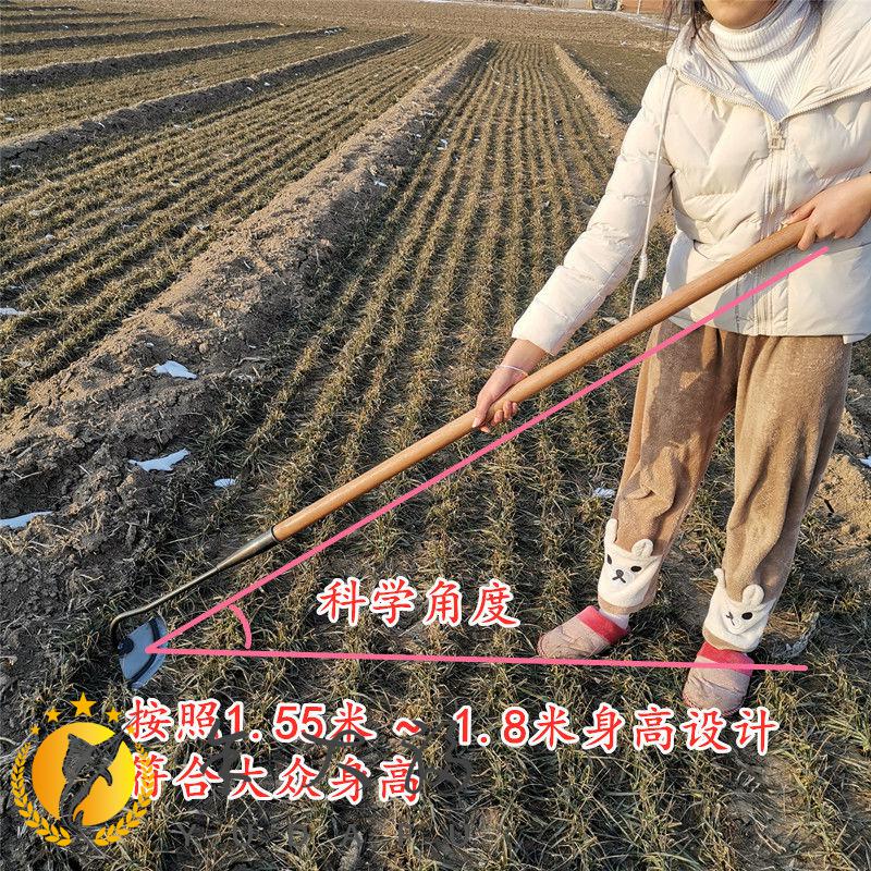 锄头锄头除草工具抖音网红锄草家用开荒种菜铲草锰钢农具园艺除草神器