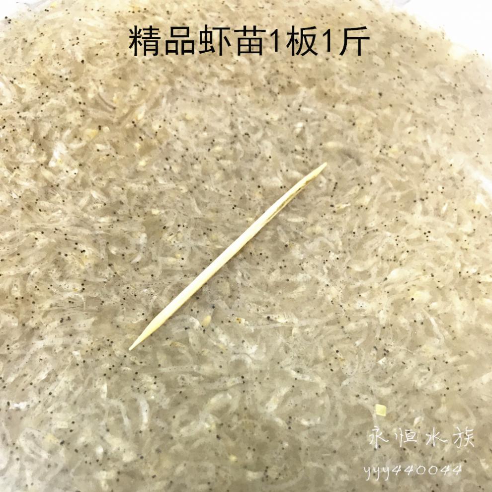 新鲜冷冻泥鳅鱼食冰冻小河虾虾仁虾段小泥鳅段麦穗龙虎鱼饲料 散冻杂