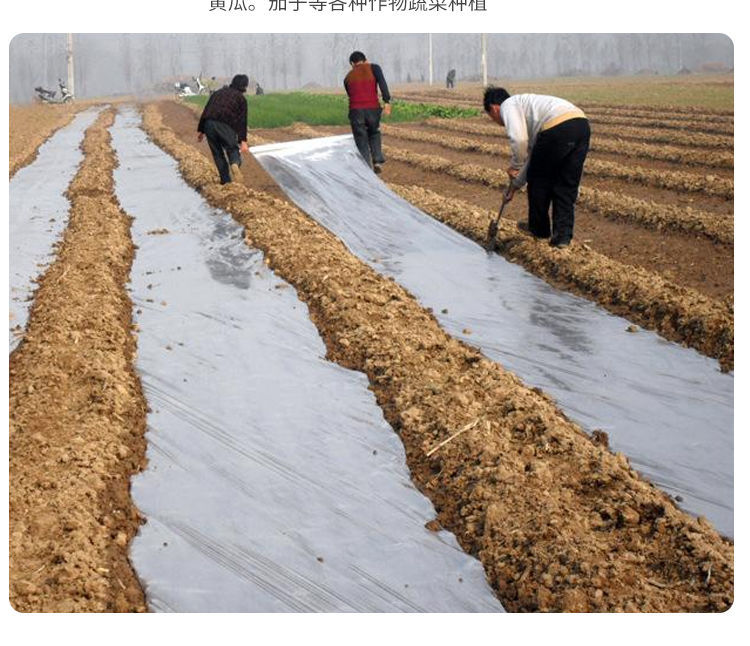 农用白色地膜保温保湿农用膜吹塑膜白地膜黑地膜果园蔬菜大棚薄膜融暖