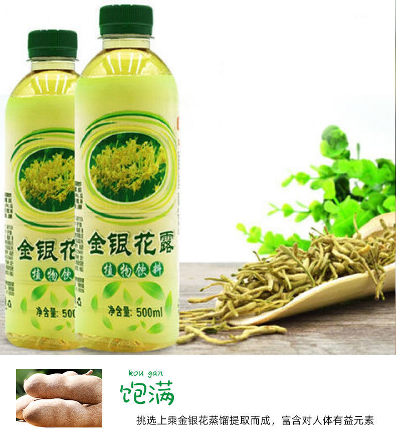 挑战者金银花露植物饮料500ml5瓶金银花凉茶饮料夏季饮品新货