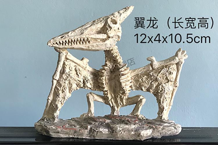 恐龙化石考古挖掘玩具大号霸王龙剑龙翼龙模型摆件3-6