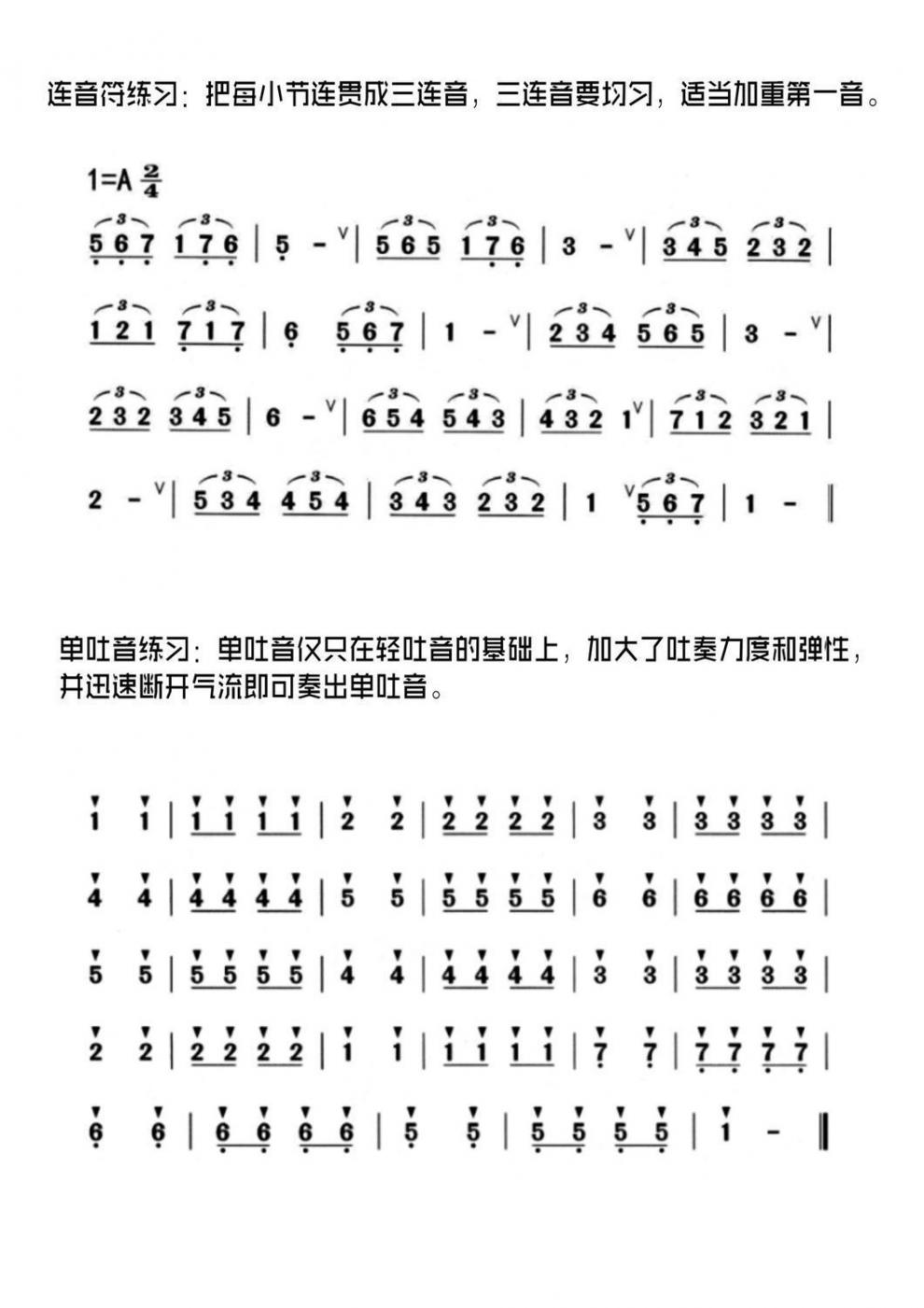 罗兰雅佳5000电吹管教学视频学习教材初学者入门歌谱伴奏简谱教程品质