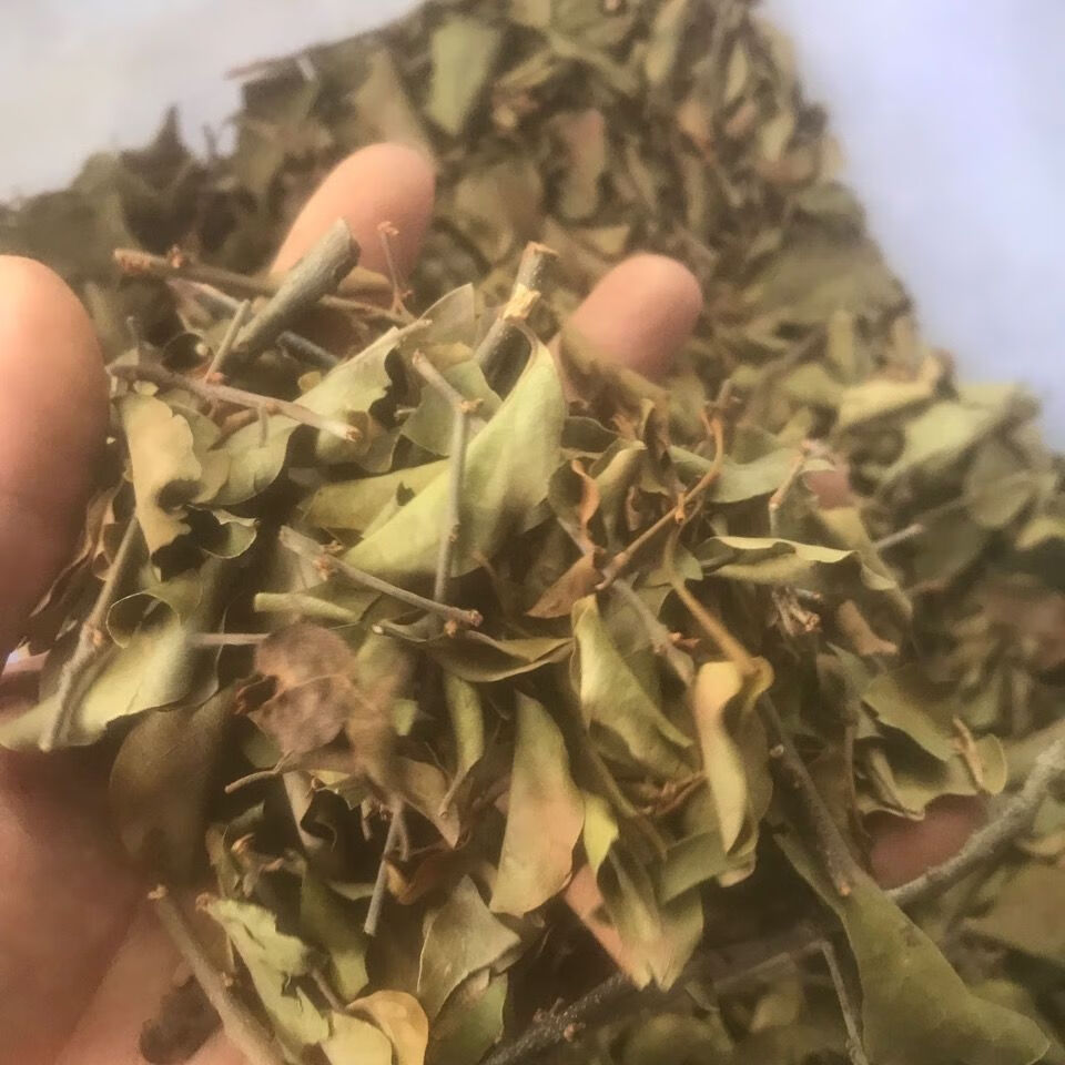 龙眼寄生中草药正宗龙眼树寄生龙眼寄生500g干货500g