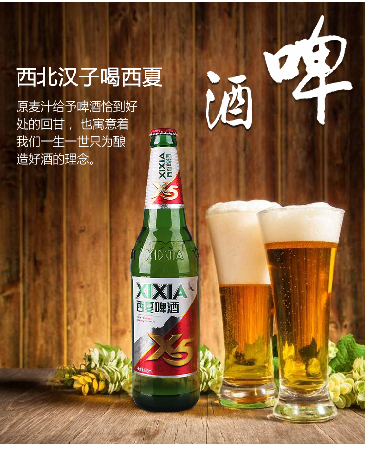 宁夏西夏啤酒夺命x5玻璃瓶装600ml12瓶精酿啤酒夺命啤酒小麦酿造