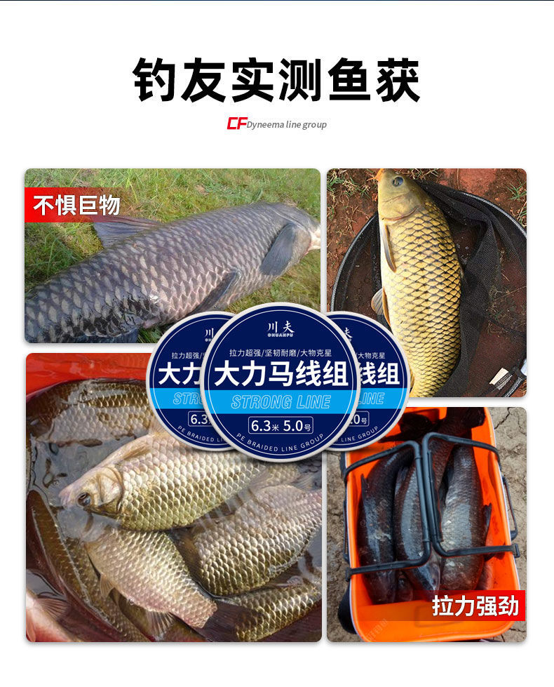 大力马主线组鱼钩绑好套装黑坑鲤青鱼pe鱼线大物巨物鱼具用品大全主线