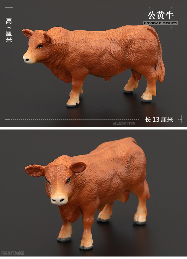 儿童仿真动物玩具野生动物模型套装实心水牛黄牛奶牛野牛斗牛园桔红色