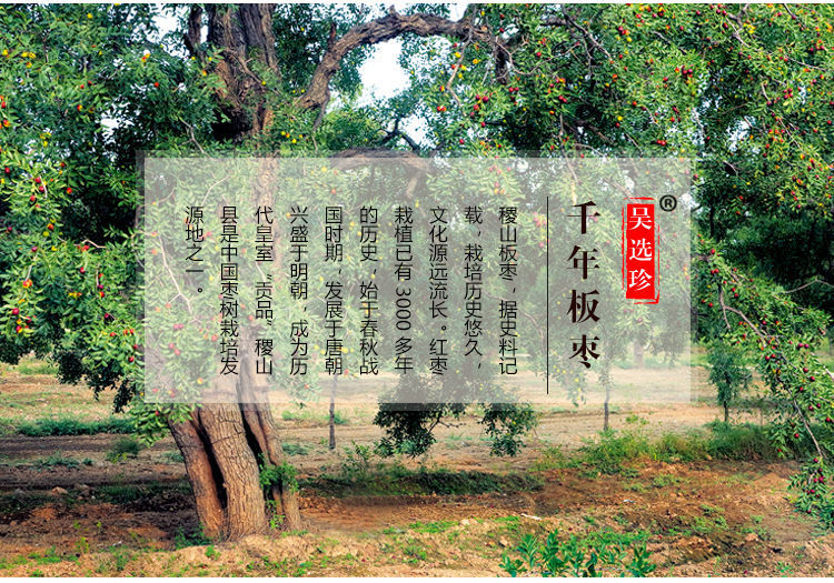 山西稷山板枣红枣干枣泡水喝煲汤零食生吃十大名枣之