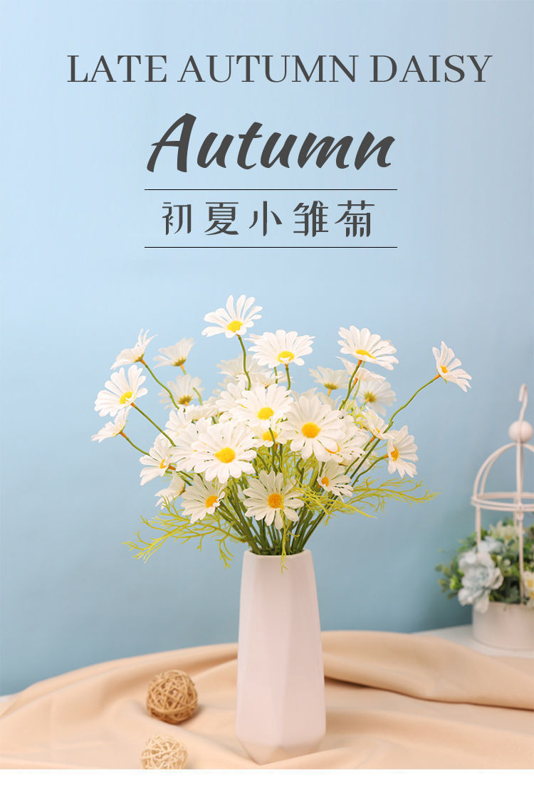 蓝紫色【清新小雏菊 3支【15朵花头】省去8元【图片 价格 品牌 报价