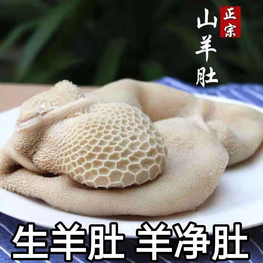 内蒙新鲜生羊肚冷冻毛肚生羊肚羊净肚生羊肚顺丰2500g