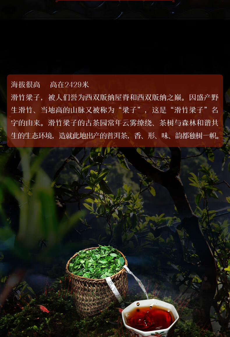 正廷御品2016年滑竹梁子大树纯料普洱熟茶龙珠高山韵500克约70粒反馈