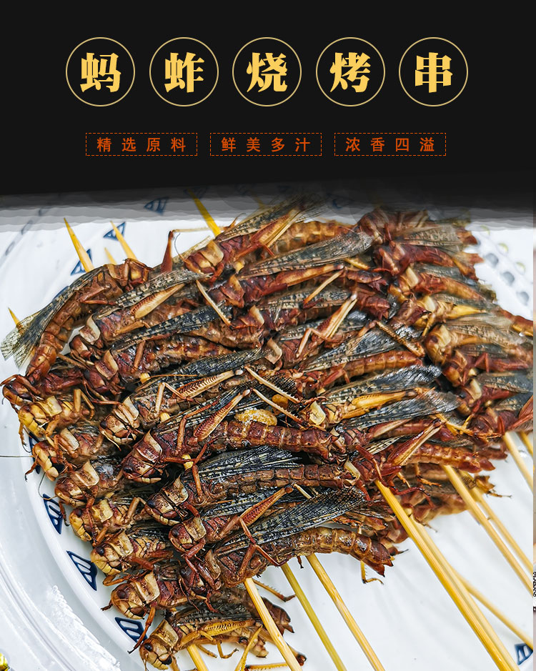 蚂蚱串烧烤串油炸食材蝗虫串半成庭商用网红小吃1包100克去翅无签