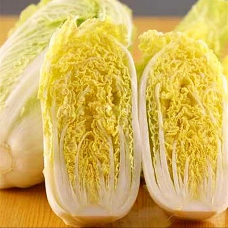 鸡蛋黄白菜种籽中师黄心大白菜四季快菜种子好吃抗病高产蔬菜种孑真好