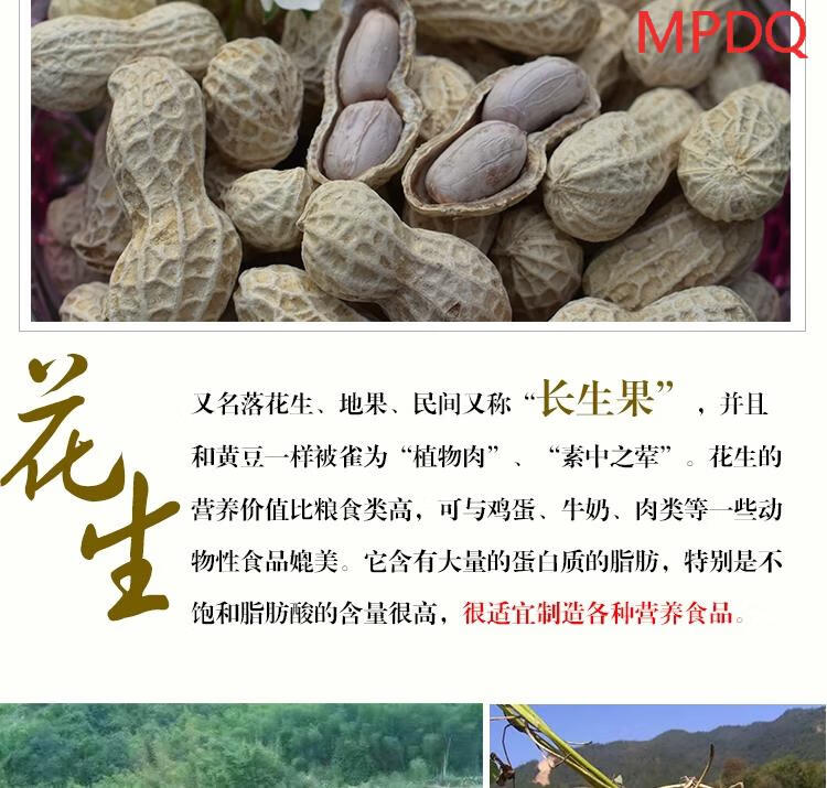 龙岩湿烤花生湿烤花生咸干大池花生闽西特产福建特产花生白衣湿烤原味