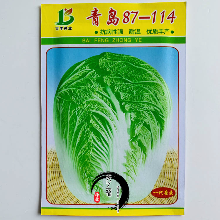 87114大白菜种子高产耐寒抗病毒耐贮藏秋冬黄心白菜种籽蔬菜籽孑崂峰