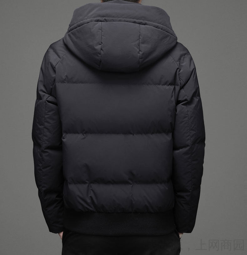 轻奢高档品牌波士顿2021年新款服男装秋中年爸爸男士短款加厚外套蓝色