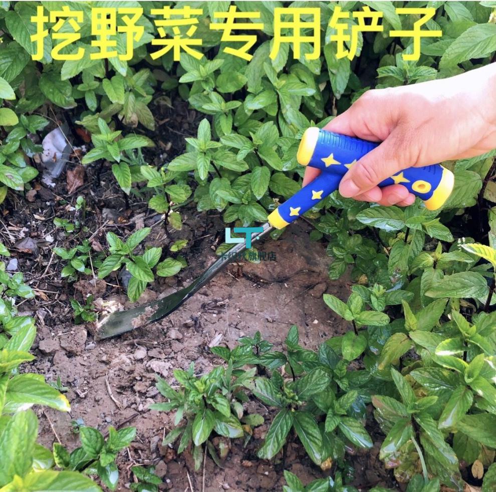 种菜神器工具挖野菜铲小铲子挖土小铁铲园艺种花种菜工具挖荠菜蒲公英