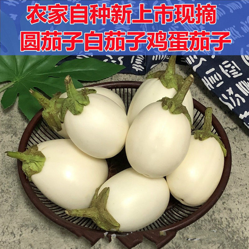江西鄱阳特产农家自种新鲜蔬菜白茄子圆茄子鸡蛋茄子白皮茄子现摘新店