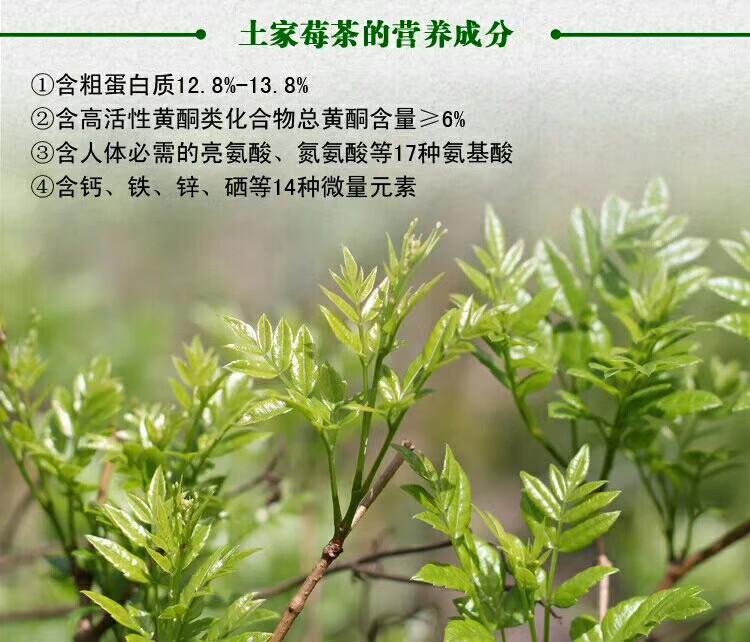 5折恩施藤茶富硒梅莓茶土家小腾稀养野生嫩芽龙须湖北来凤滕茶叶