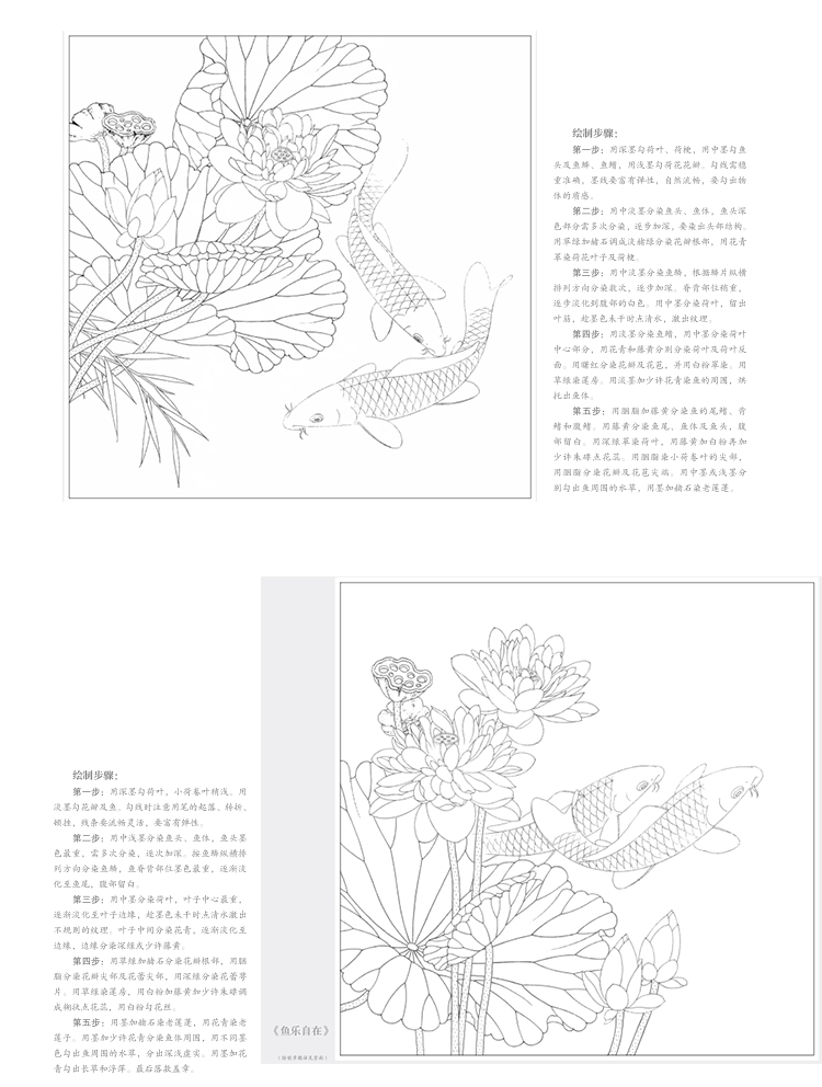 《小品白描画稿 荷花鲤鱼 路雨年 绘画国画技法 工笔画初学者入门