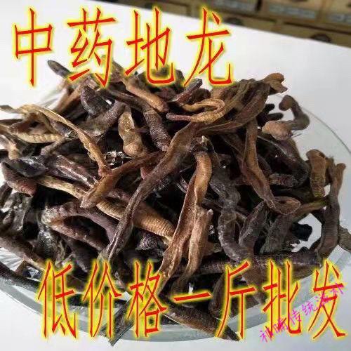 野生地龙干原条黑地龙大蚯蚓穿地龙广地龙地龙20g试用
