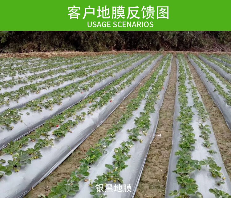 地摸塑料溥膜防草地膜透明加厚农用黑白地膜覆盖膜果园防草除草银黑膜