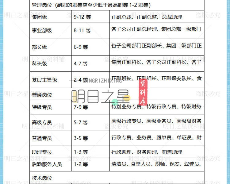 企业公司岗位职级职位划分体系表格标准管理制度发展体系设计方案