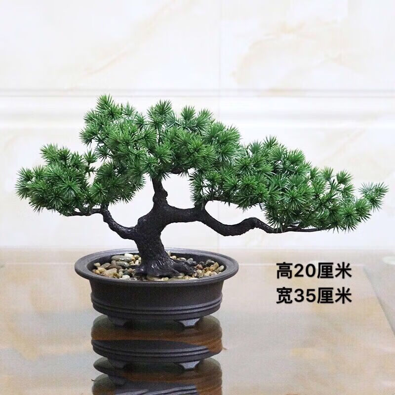 树迎客松松树盆景树室内装饰客厅花卉绿植大盆栽塑料摆件云松圆叶石盆