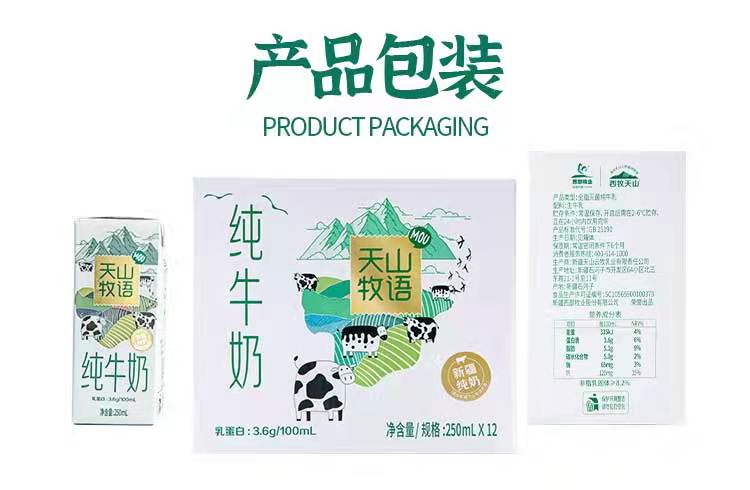 西牧天山牧语36g乳蛋白新疆纯牛奶250ml12盒装学生营养早餐奶12盒