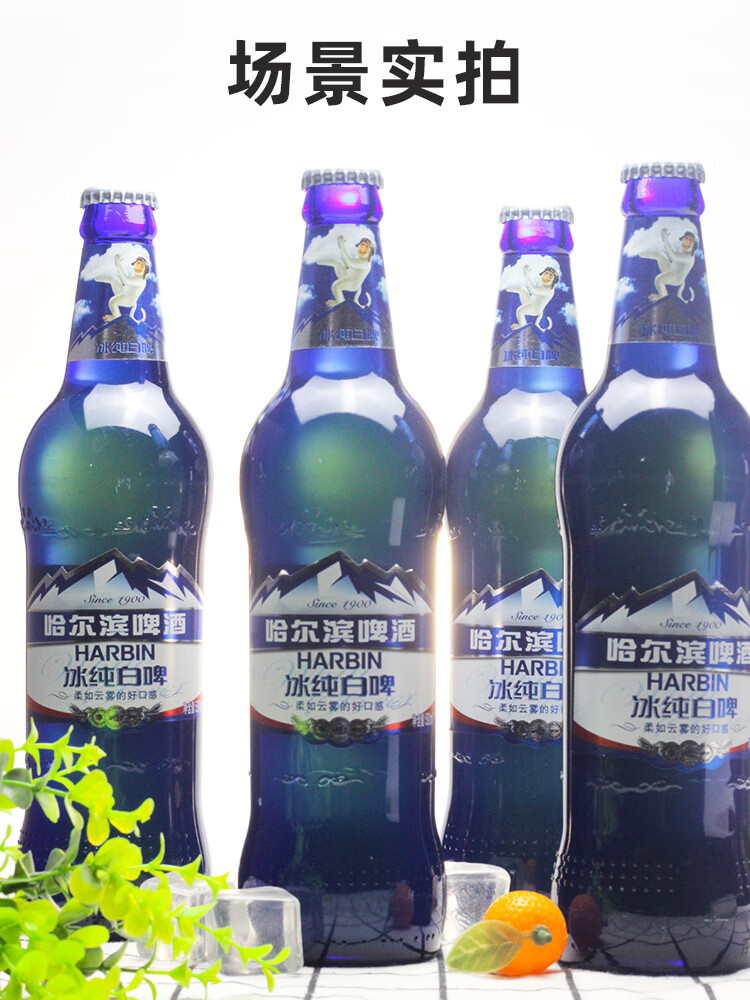 哈尔滨白啤冰纯白啤酒500ml12瓶装整箱哈啤小麦一箱22年2月到期500ml