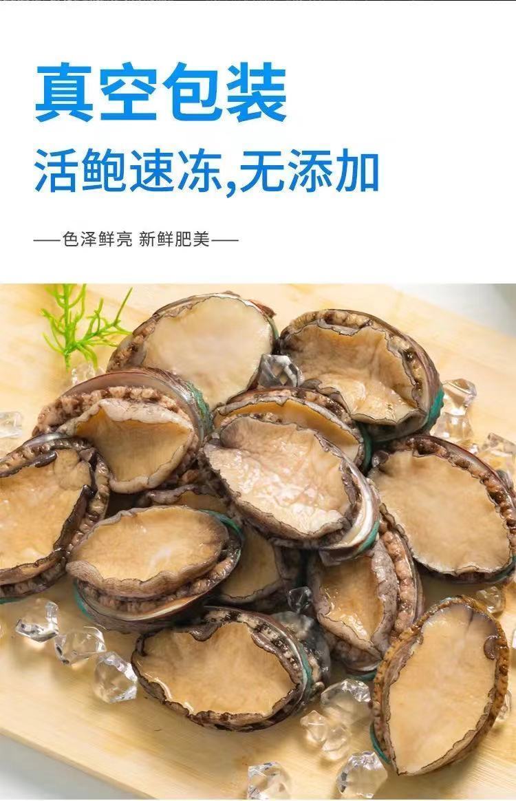 超大个头鲍鱼肉批发鲜活新鲜特大海鲜大全水产湿干水产食品超大号8只