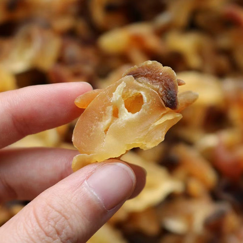 场地批发天然海螺肉响螺头肉干货新鲜水产淡干响螺嘴煲汤深海小号响螺
