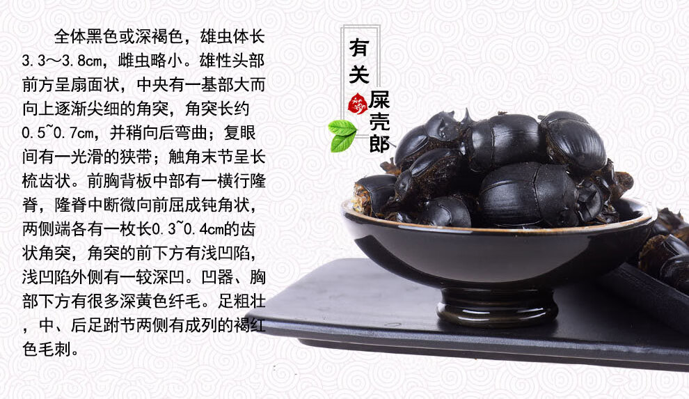 中药材野生大将军 清水屎壳郎 蜣螂虫 推粪虫100克店内有蝼蛄【图片