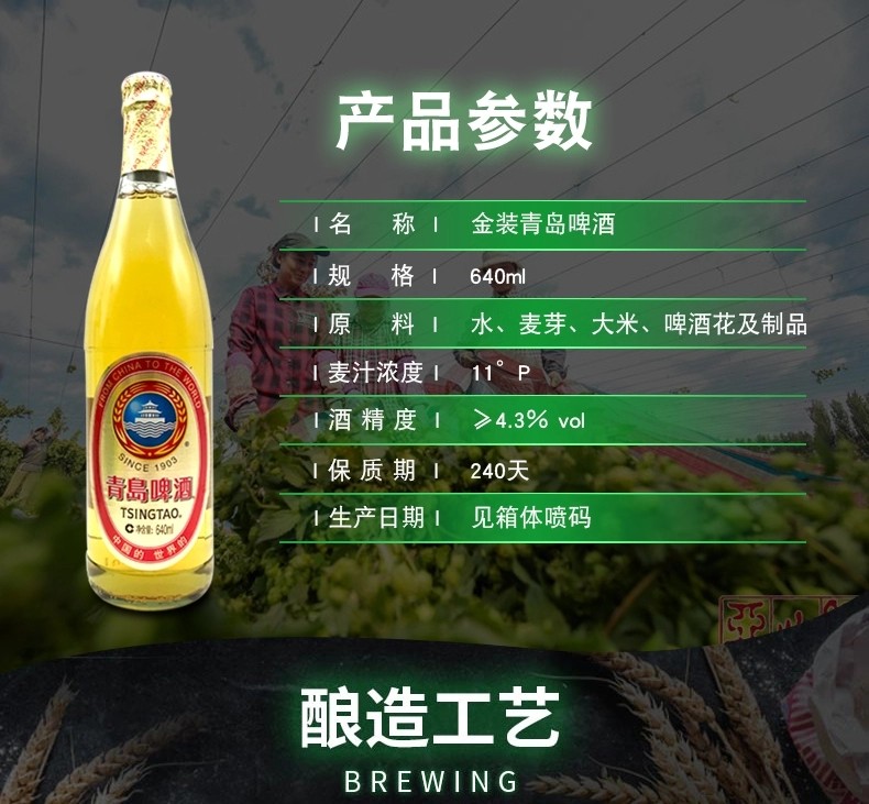 青岛大白金啤酒大白金640ml*12瓶经典老青岛黄啤酒1903一厂登州路56号