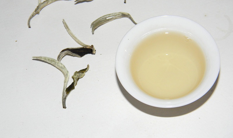 野栋普洱生茶月光白美人茶古树大白茶清香甘甜月光白散茶500g散装一份