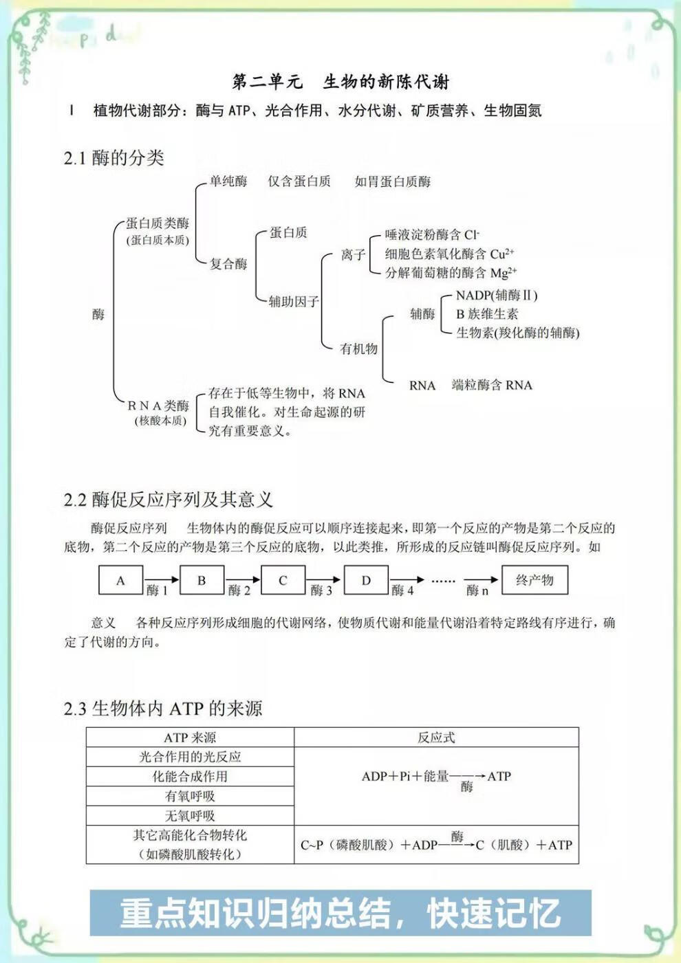 2023高中生物核心知识点一本通清单人教版高考一轮总复习资料汇总买就