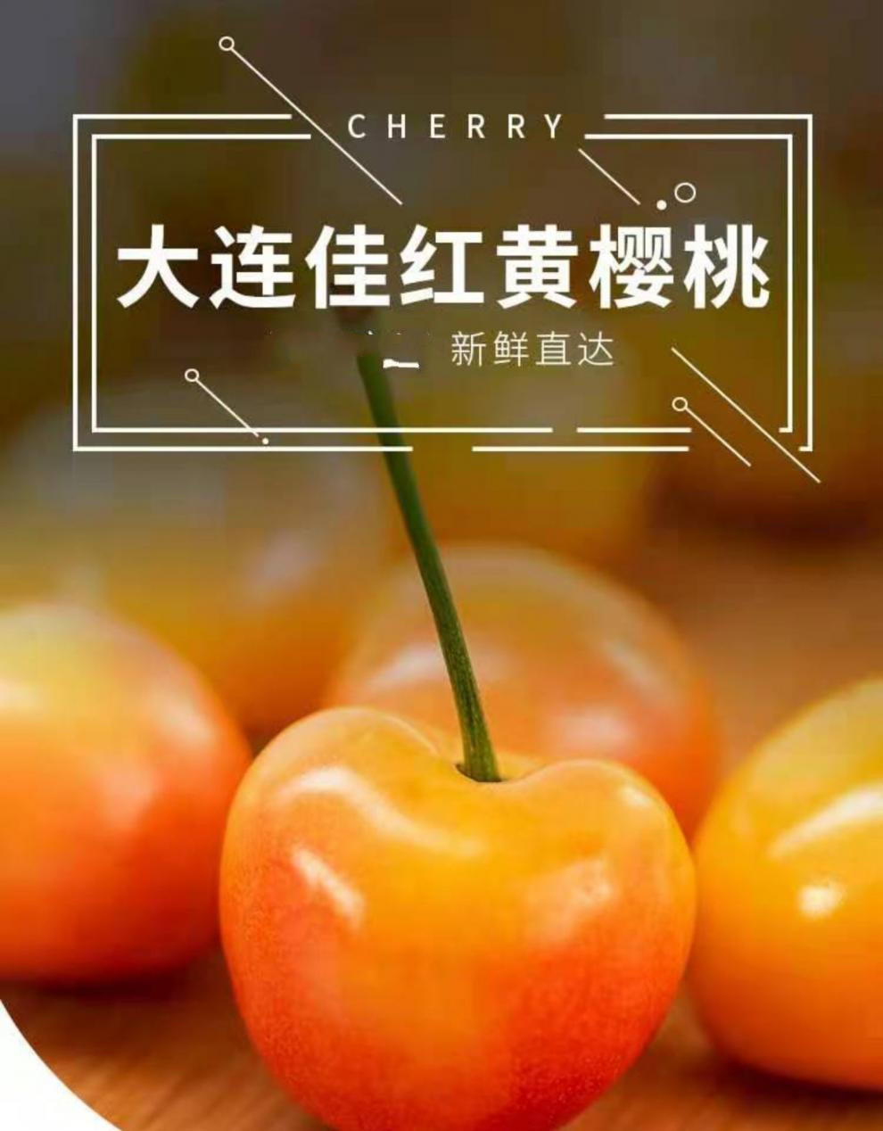 5斤大连樱桃黄蜜黄水晶车厘子甜新鲜现货现发公司团建生鲜水果2500g