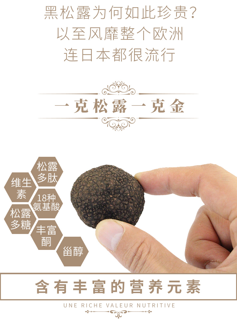 出口欧盟标准云南怒江贡山黑松露新鲜猪拱菌贡山块菌松露菌鲜礼盒时令