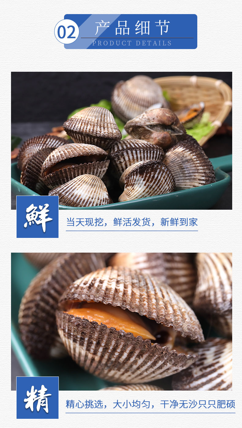 毛蛤蜊海鲜鲜活蛤蜊毛蚶毛蛤水产血蛤到家包活3斤鲜活