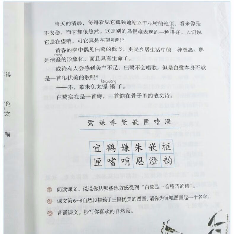 2019新人教版小学5五年级上册语文数学英语课本教材部编版教科书【图片价格品牌评论】-京东