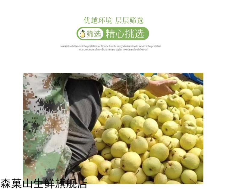 山西酥梨原平同川酥梨贡梨脆甜多汁现装现发超大果5斤