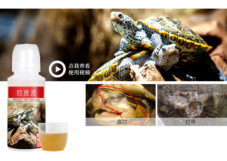 勤始皇乌龟药护龟液护龟宝龟药聚维酮碘腐皮白眼病用生病的药 龟水灵