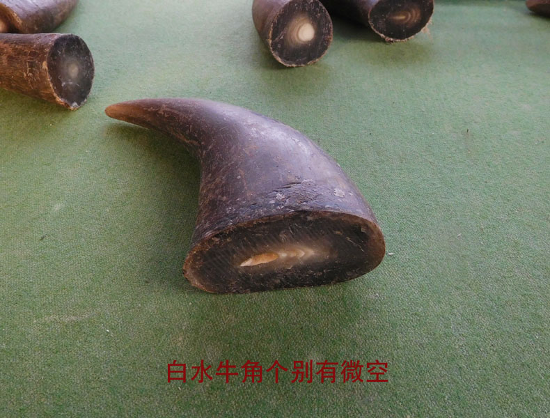 星尘 实心牛角原料 天然黑水牛角梳佛珠弹弓刀柄刮痧按摩牛角卦把玩料