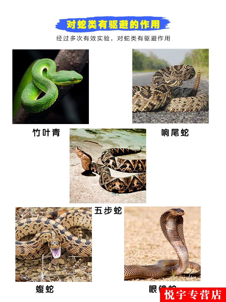 蓝桂圆(languiyuan) 纯硫磺粉 户外家用硫磺粉驱蛇防毒蛇药野营露营防