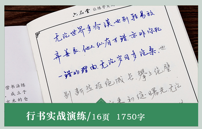 字帖钢笔临摹硬笔练字贴成人散文行书速成字帖学生硬笔行楷书字帖_ 5