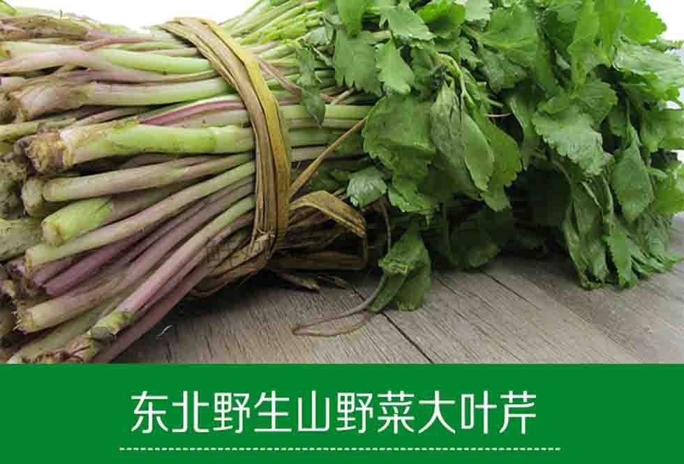 顺丰空运 东北新鲜山芹菜大叶芹 1kg