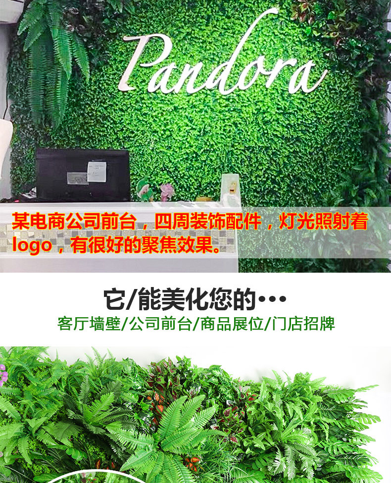 植物墙草坪壁挂仿真植物装饰绿植墙加密塑料草坪客厅背景装饰绿植 红