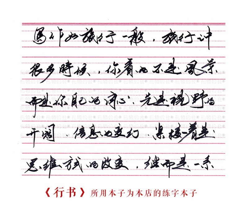礼物约会 美工笔弯尖钢笔 学生书写绘画行书书法练字入门硬笔瘦金体用