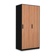 Binggong sauna lock steel locker staff cabinet iron wardrobe staff dormitory gym electronic password lock locker steel walnut grain 2 doors